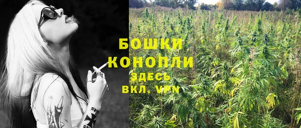 стафф Волоколамск