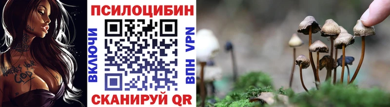 Купить где Волосово Галлюциногенные грибы MAGIC MUSHROOMS